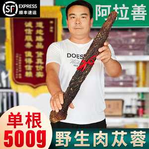 阿拉善肉苁蓉野生特级泡水锁阳肉苁蓉粉干片批发男性泡酒料养生茶
