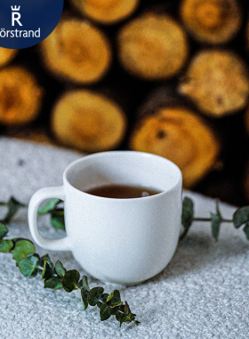 瑞典Rorstrand Inwhite白色系列陶瓷马克杯家用北欧风格浮雕杯子