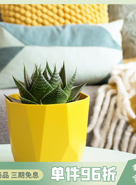 elho荷兰园艺树脂北欧花盆多肉植物盆栽大号家用室内阳台花卉种植