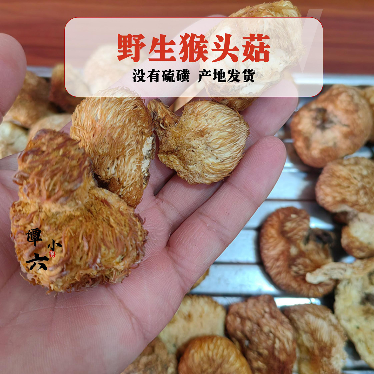 野生猴头菇250g新货东北蘑菇长白山猴头菌通化烘干小个煲汤打粉