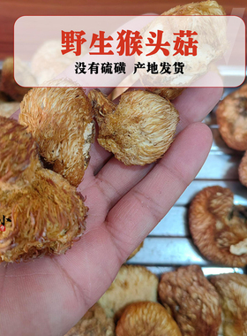 野生猴头菇250g新货东北蘑菇长白山猴头菌通化烘干小个煲汤打粉