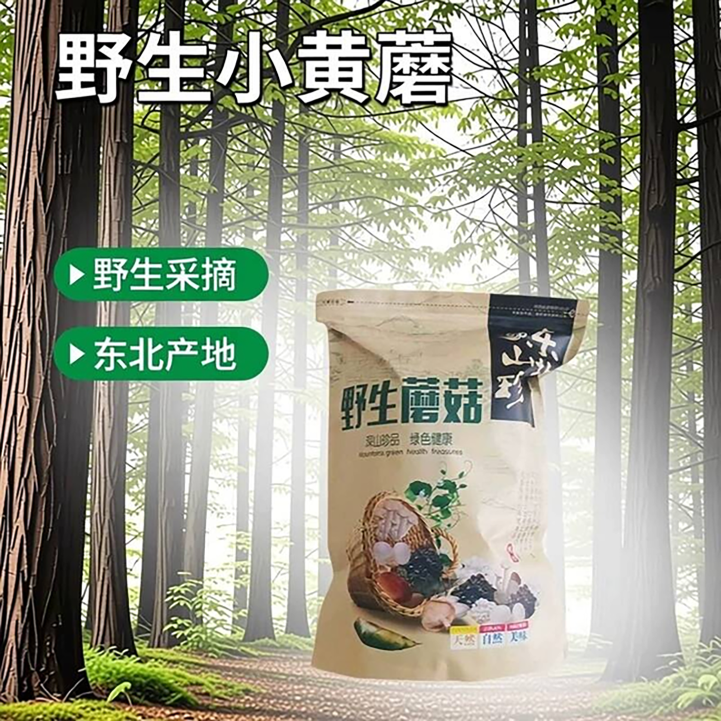 野生黄蘑新货谭小六野生蘑菇东北干货250g长白山野蘑菇农家香菇干