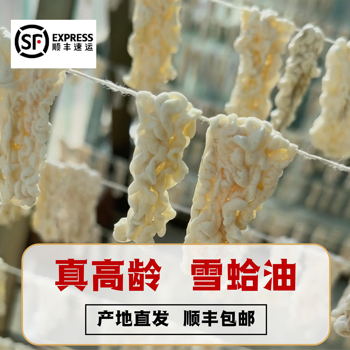 东北长白山雪蛤油 整只正品20g礼盒装 送长辈滋补品 新货顺丰包邮