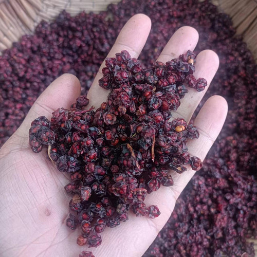 谭小六五味子不染色烘干无硫