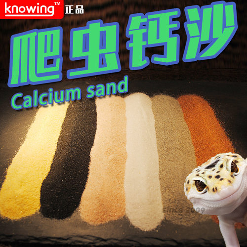 Knowing诺茵爬虫钙沙鬃狮蜥蜴守宫蛇蟒垫材爬虫砂细腻不怕误食