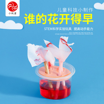 谁的花开的早科学实验DIY小制作
