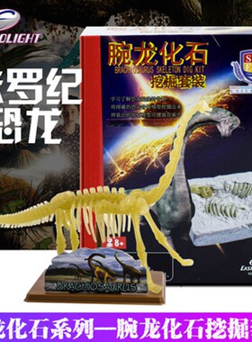怡高eastcolight考古挖掘腕龙模型标本恐龙化石手工益智玩具套装
