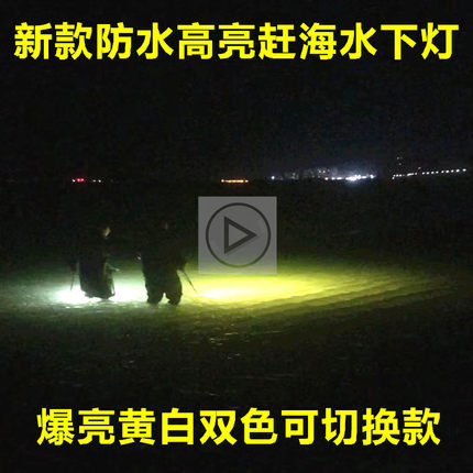 赶海神器新款爆亮夜晚水下灯12v200W超高亮抓海货防水赶海水下灯