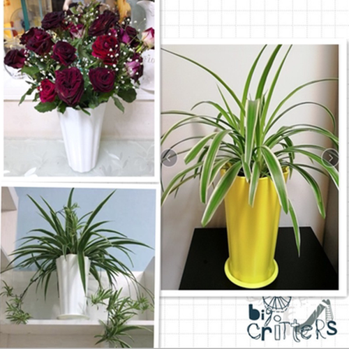 兰花花瓶销量排行榜 兰花花瓶品牌热度排名 小麦优选