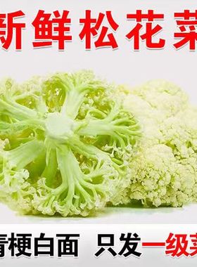 西蓝花青梗白面松花菜新鲜蔬菜大全散花花椰菜白花菜西兰花青菜