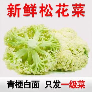 西蓝花青梗白面松花菜新鲜蔬菜大全散花花椰菜白花菜西兰花青菜