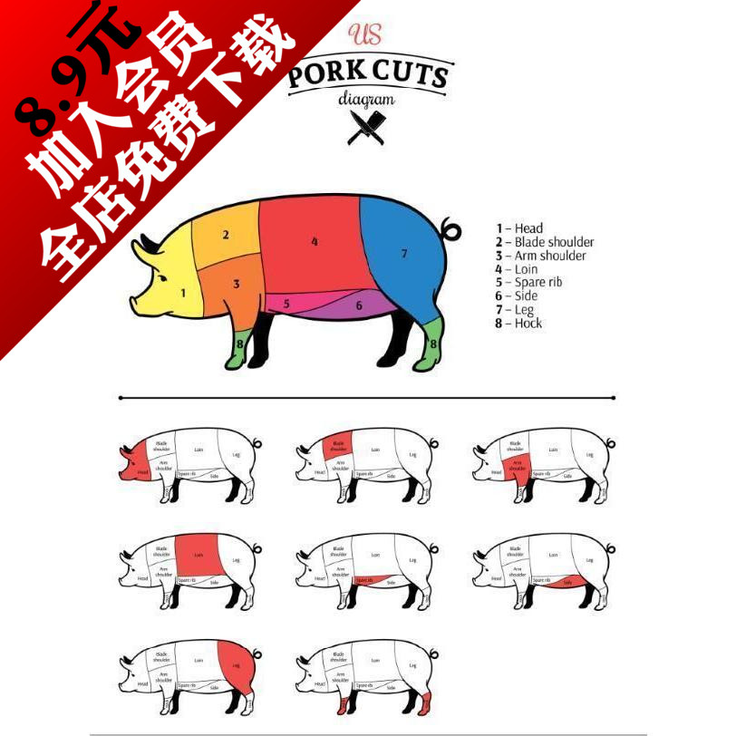 家禽猪牛羊鸡鹅各部位肉名称解剖图eps矢量图设计素材
