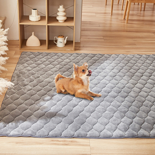 宠物垫子秋冬加厚狗狗地垫猫咪睡垫兔子围栏垫狗笼猫窝加绒保暖垫