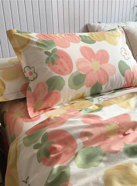 加厚加密纯棉斜纹拉链式枕套一对装全棉48x74单人成人床上枕头套