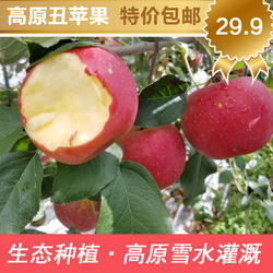 大凉山昭通包邮果园现摘现发箱装红富士脆甜盐源苹果特级