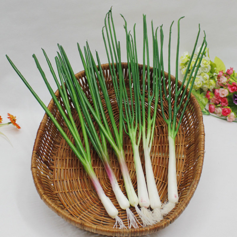 仿真水果蔬菜模型 仿真葱蒜 假葱家居庭园装饰 甩葱舞蹈 模型道具