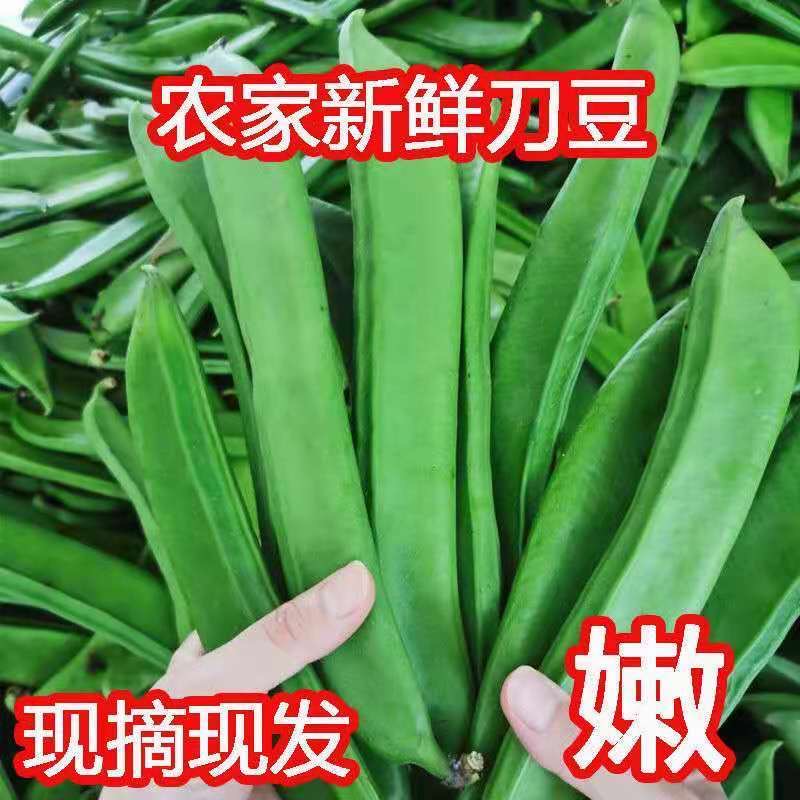 新鲜刀豆江西农家自种蔬菜时令大刀角豆现摘长刀巴豆葛豆腌制泡菜
