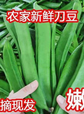 新鲜刀豆江西农家自种蔬菜时令大刀角豆现摘长刀巴豆葛豆腌制泡菜
