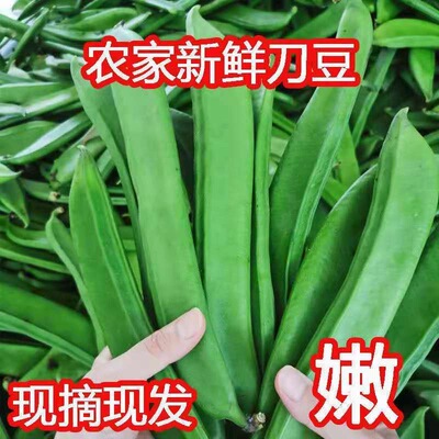 新鲜刀豆江西农家自种蔬菜时令大刀角豆现摘长刀巴豆葛豆腌制泡菜