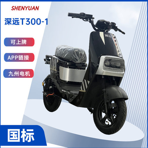 深远T300电动车外卖骑手专用电瓶车成人两轮电动车家用载人长续航