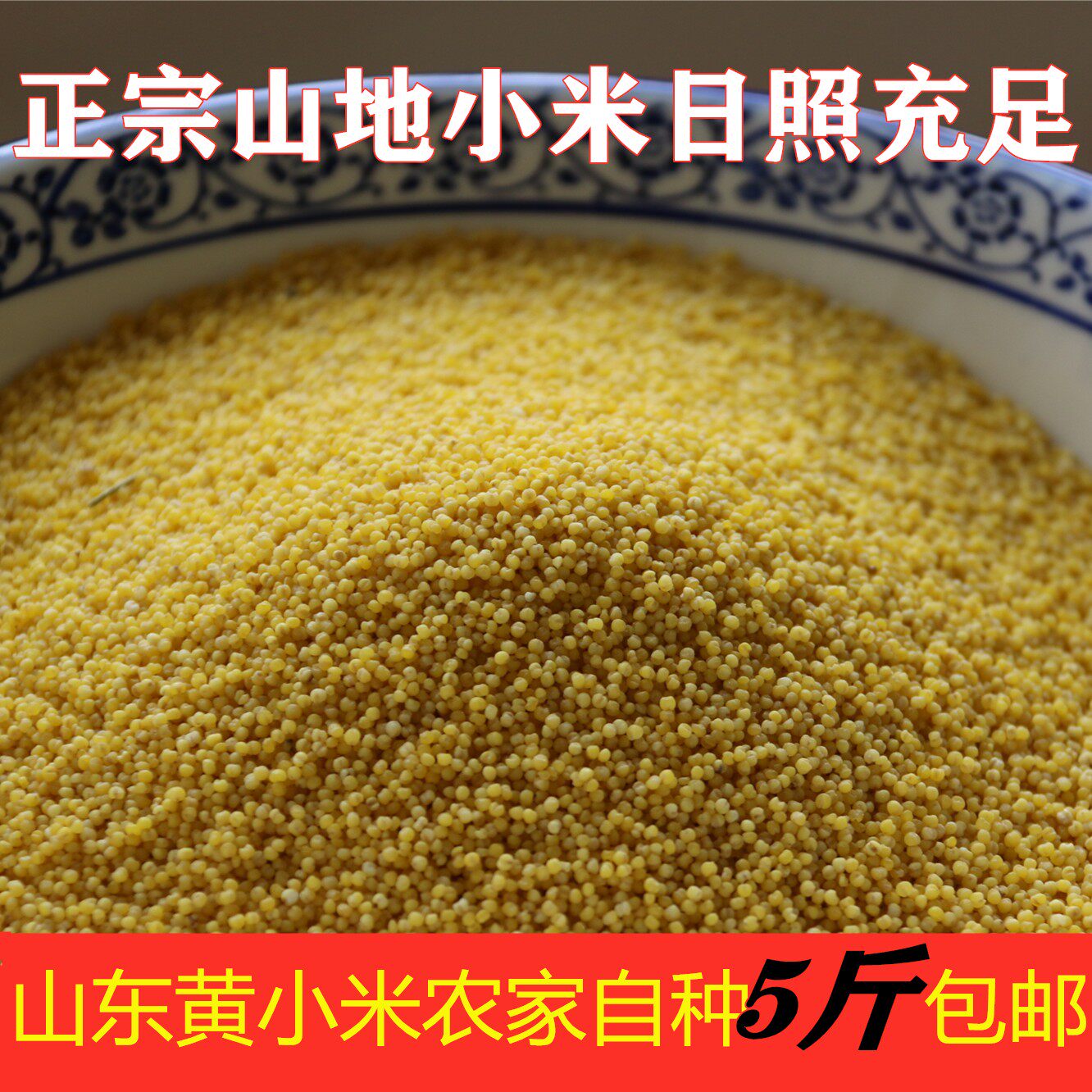 山东五莲新鲜春小米山地小黄米黄小米谷子米粥月子宝宝粗粮5斤包
