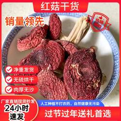古田红菇干货无硫烘干不含干燥剂纯净重月子菇土特产包邮到家