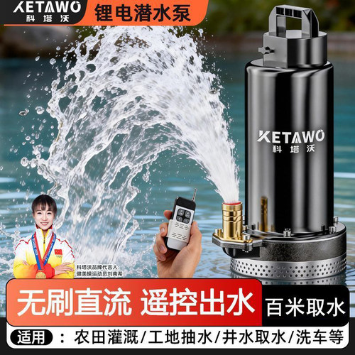 远程遥控百米送水三挡调速潜水泵