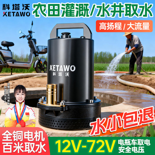 电瓶车专用抽水泵12V48V60V72V农用灌溉家用小型大功率深井潜水泵