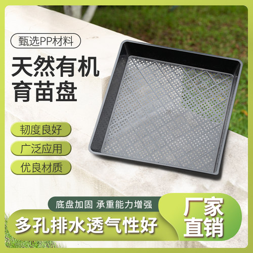 种植芽苗盘正方盘育苗盘