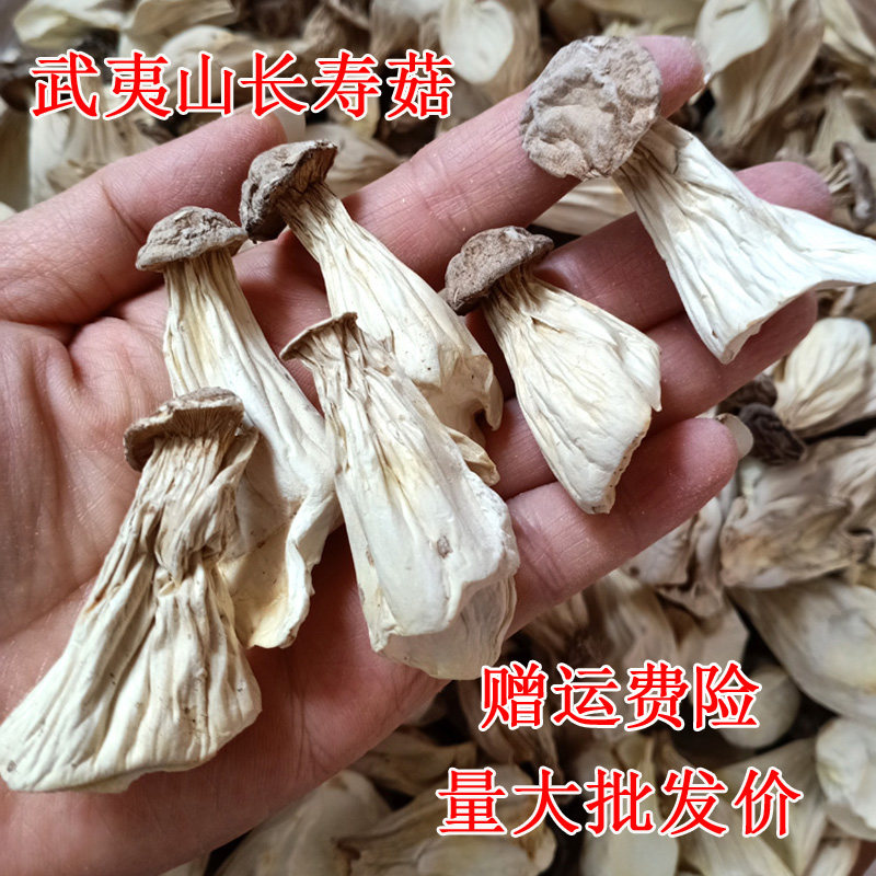 福建武夷山茶花菇长寿菇白菇鸡鸡菇干货土特产姑奶奶人参菇500克