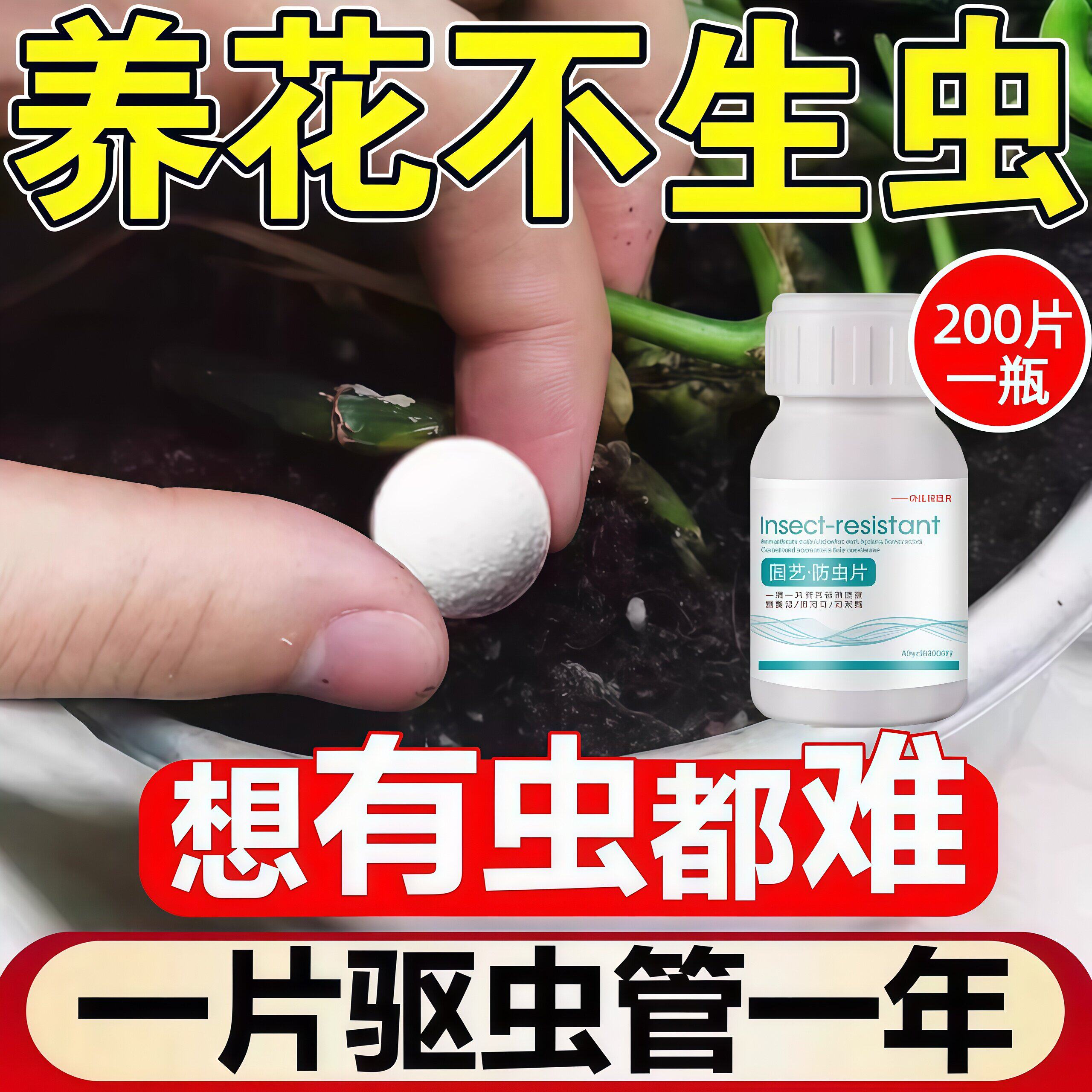 园艺防虫片杀虫剂植物小白药糖化硼肥片防虫颗粒驱虫片驱蚊防蚜虫