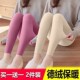 秋冬双面德绒无痕打底裤 自发热休闲家居 女士内外穿加绒保暖裤 秋裤