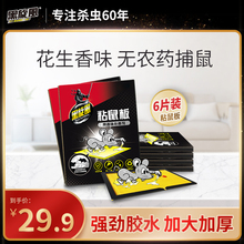 黑旋风粘鼠板强力老鼠贴克星灭鼠老鼠胶笼捕鼠器家用一窝6片装