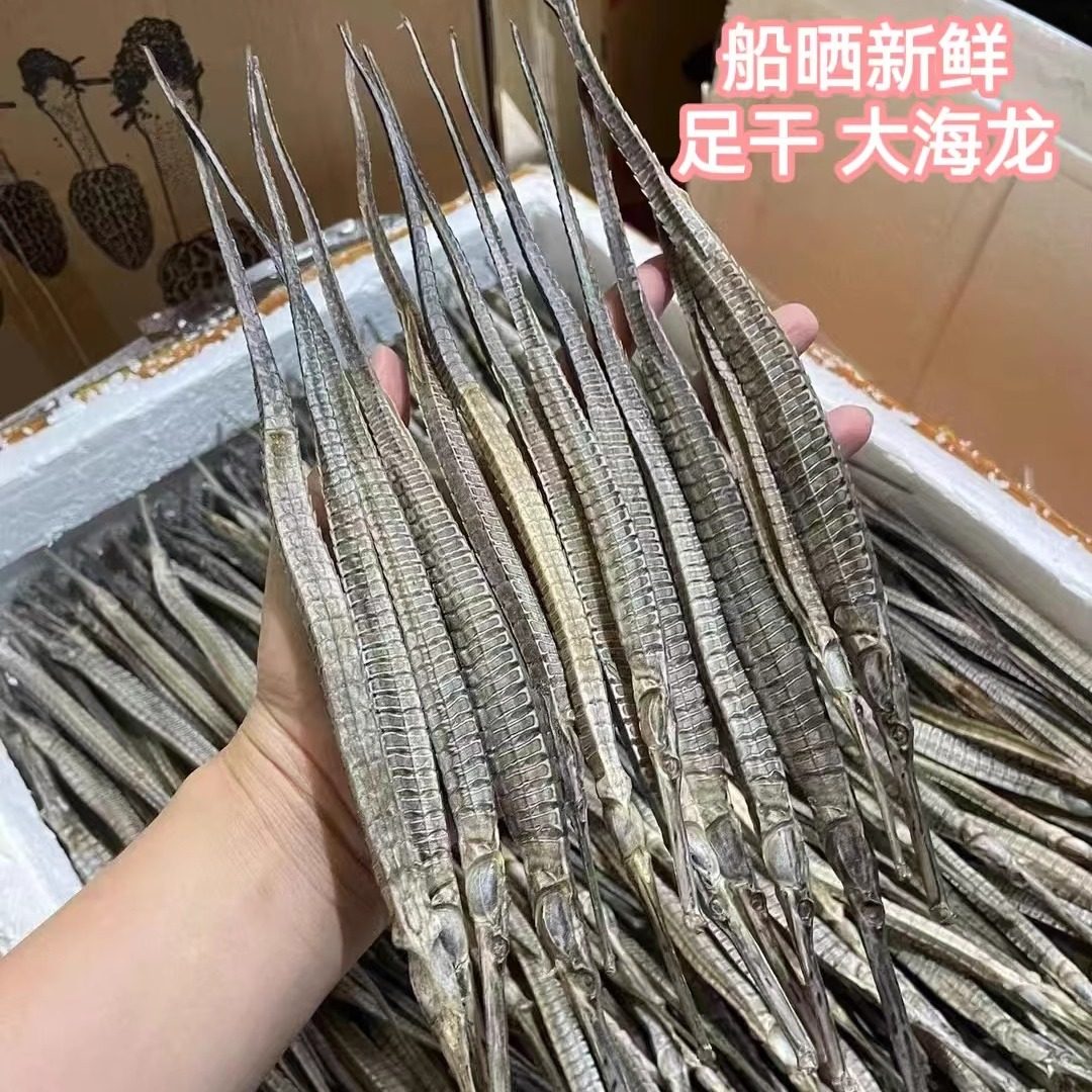 180头大刁六角海龙渔民自晒足干天然 海产干货中药材泡酒煲汤滋补