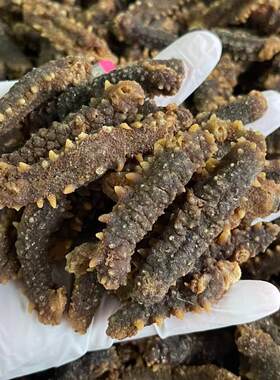 小号刺参海参天然滋补煲汤美食