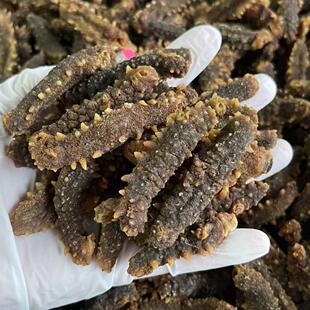 淡干小黑刺参干货正品黄玉刺刺王海参干货非辽参疗伤滋补煲汤美食
