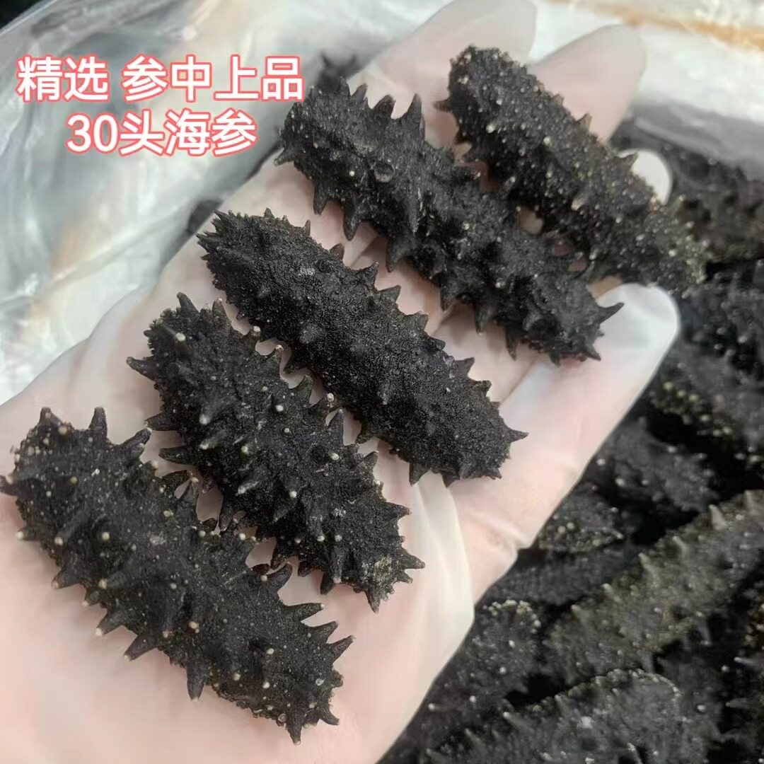 30头大海参特级天然干货纯淡干深海辽参开肚海生刺参疗养滋补煲汤