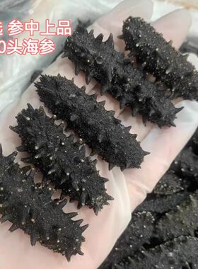 30头大海参特级天然精选煲汤料