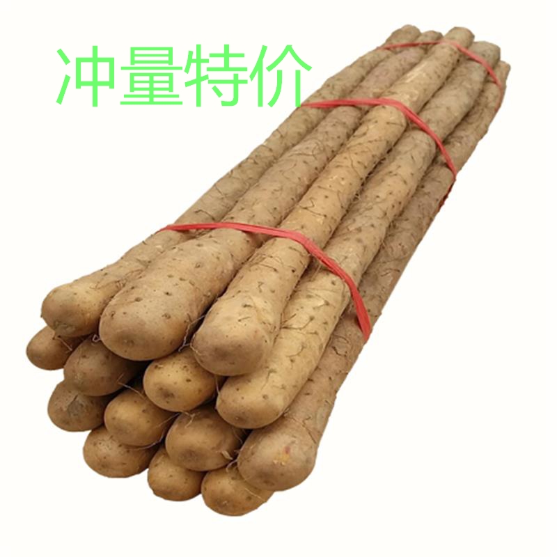 超值5斤新鲜正宗铁棍山药铁杆怀淮山约铁棒河南温县焦作农家特产|msdalam kategori daging perikanan/Buah-buahan segar dan sayur-sayuran/dimasak, sayur-sayuran segar/Vegetable Products, sayur-sayuran segar, keladi segar - dari Buy2taobao.com untuk memberikan perkhidmatan ejen Taobao profesional membeli