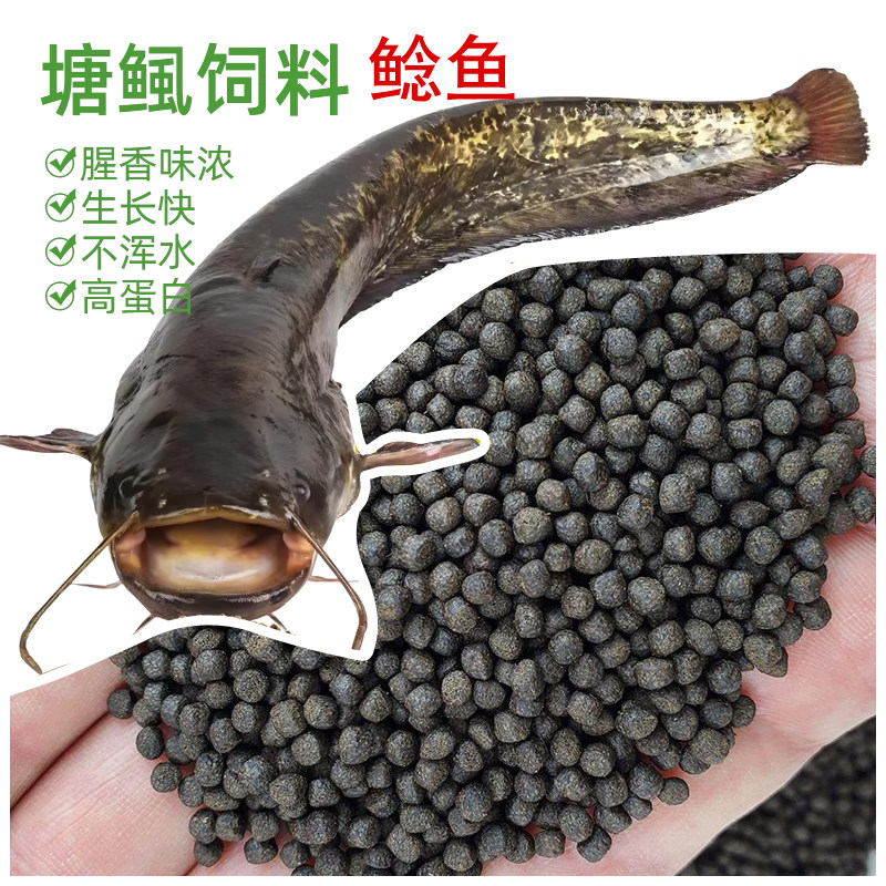 鲶鱼饲料大口鲶鱼胡子鲶鱼专用上浮饲料塘角鱼饲料塘鲺鱼颗粒饲料