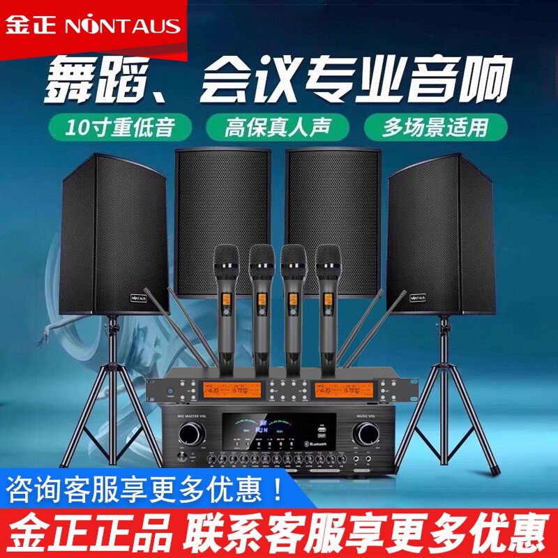 金正家庭KTV音响功放套装舞蹈卡拉OK健身房会议室台球厅重低音箱