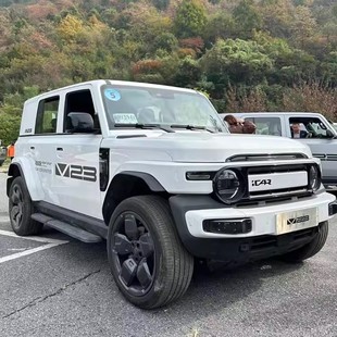 奇瑞iCAR V23车门个性装饰汽车贴纸超级V23S车身创意改装贴画拉花