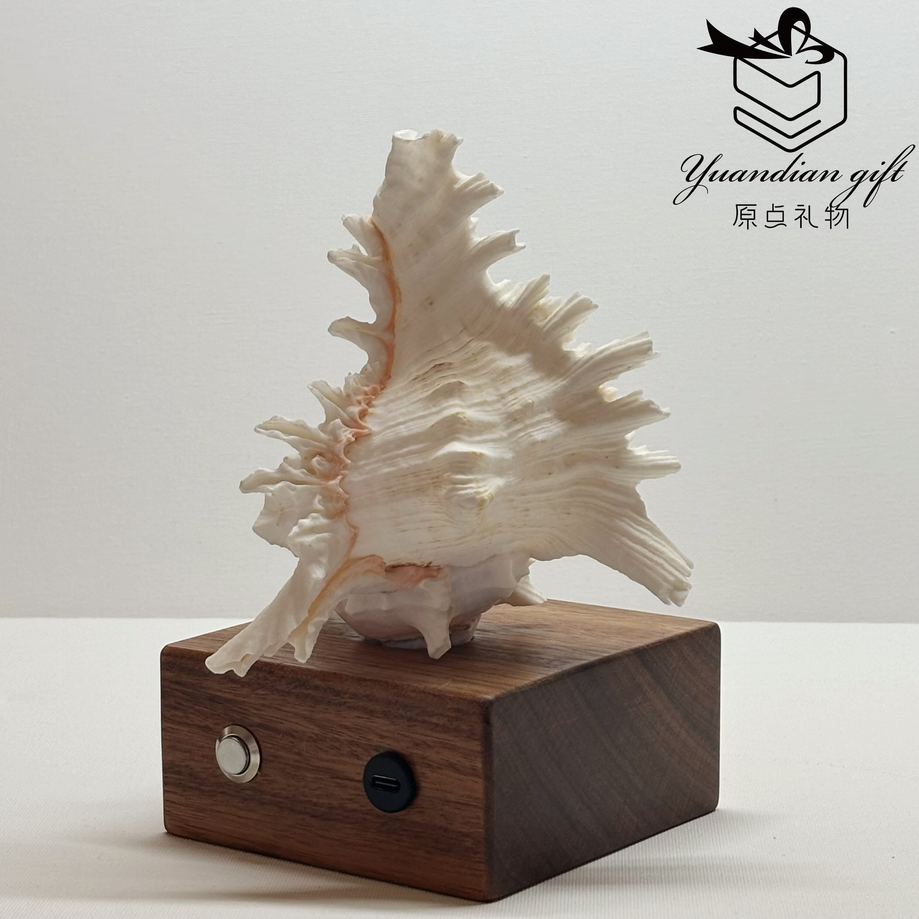 原点礼物伴手礼海螺音箱蓝牙连接手机送人送礼天然贝壳大连