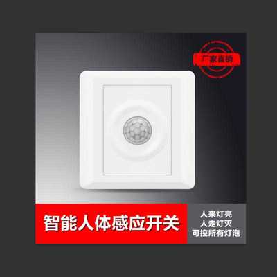 人体感应感应开关BAOLAN