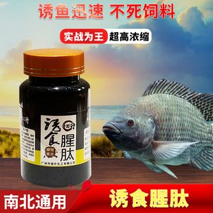 罗非鲤鱼鲫鱼钓鱼小药套餐罗黑坑冷冻饵料野钓鱼饵窝料-诱食腥肽
