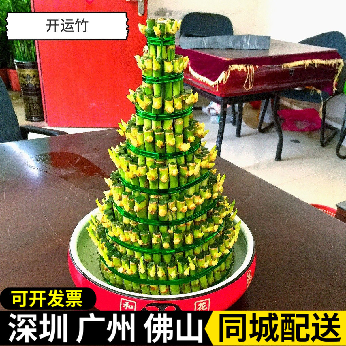 竹塔 富贵竹 节节高开运竹 办公室桌面植物 水养盆栽植物室内盆栽