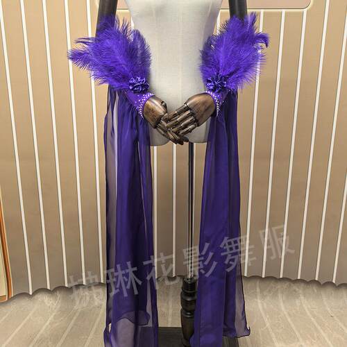 国示舞演出服定制手飘袖交谊舞服摩登比赛裙手臂羽毛配饰表演艺考