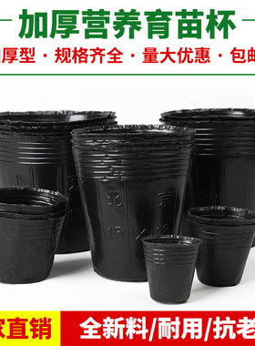 营养钵育苗杯一次性扦插花盆