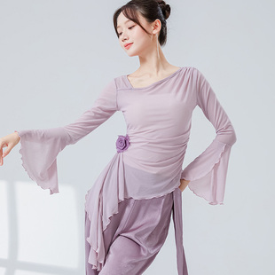 中国古典舞长袖 网纱上衣飘逸身韵斜领练功服现代舞形体服瑜伽纱衣