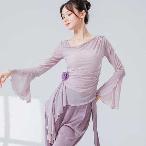 中国古典舞长袖网纱上衣飘逸身韵斜领练功服现代舞形体服瑜伽纱衣